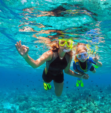 Snorkeling and Scuba Diving